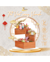 Thượng Vượng_Tiểu Cảnh Sen Đá Quà Tết_Vsenda - belovedbeyond.com