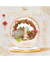 May Mắn_Tiểu Cảnh Sen Đá Quà Tết_Vsenda - belovedbeyond.com