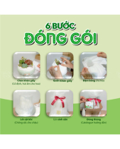 Tân Niên_Tiểu Cảnh Sen Đá Quà Tết_Vsenda - belovedbeyond.com