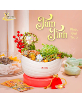 Phú Quý_Tiểu Cảnh Sen Đá Quà Tết_Vsenda - belovedbeyond.com