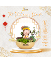 [Hoa Tươi, Chọn Lọc Kỹ] Đôi Ta_Chậu Sen Đá Cắm - belovedbeyond.com