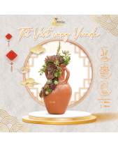 Tinh Hoa_Tiểu Cảnh Sen Đá Quà Tết_Vsenda - belovedbeyond.com