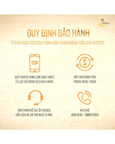 Tỏa Sáng_Tiểu Cảnh Sen Đá Quà Tết_Vsenda - belovedbeyond.com