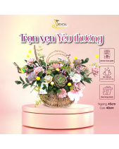 Yêu Cô_Giỏ Hoa Sen Đá Phù Hợp Làm Quà Tặng_Vsenda - belovedbeyond.com