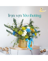 Ánh Dương_Giỏ Hoa Sen Đá Làm Quà Tặng_Vsenda - belovedbeyond.com