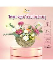 Quyến Rũ_Hoa Sen Đá Phù Hợp Làm Quà Tặng_Vsenda - belovedbeyond.com