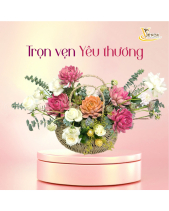 Quyến Rũ_Hoa Sen Đá Phù Hợp Làm Quà Tặng_Vsenda - belovedbeyond.com