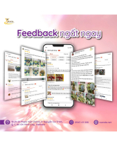 Quyến Rũ_Hoa Sen Đá Phù Hợp Làm Quà Tặng_Vsenda - belovedbeyond.com