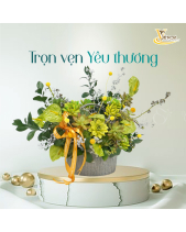 Anthurium_Hoa Sen Đá Phù Hợp Làm Quà Tặng_Vsenda - belovedbeyond.com