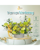 Anthurium_Hoa Sen Đá Phù Hợp Làm Quà Tặng_Vsenda - belovedbeyond.com