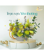 Anthurium_Hoa Sen Đá Phù Hợp Làm Quà Tặng_Vsenda - belovedbeyond.com