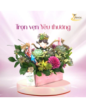 Ngọt Ngào_Hoa Sen Đá Phù Hợp Làm Quà Tặng_Vsenda - belovedbeyond.com