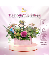 Ngọt Ngào_Hoa Sen Đá Phù Hợp Làm Quà Tặng_Vsenda - belovedbeyond.com