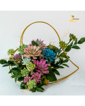 Thương Mến_Giỏ Hoa Sen Đá Làm Quà Tặng_Vsenda - belovedbeyond.com