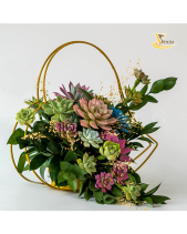 Thương Mến_Giỏ Hoa Sen Đá Làm Quà Tặng_Vsenda - belovedbeyond.com