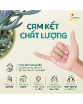 Duyên_Giỏ Hoa Sen Đá Làm Quà Tặng_Vsenda - belovedbeyond.com