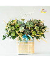 Thanh Nhã_Giỏ Hoa Sen Đá Làm Quà Tặng_Vsenda - belovedbeyond.com