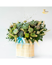 Thanh Nhã_Giỏ Hoa Sen Đá Làm Quà Tặng_Vsenda - belovedbeyond.com