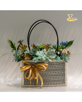 Cachet-Nàng Rực_Giỏ Hoa Sen Đá Làm Quà Tặng_Vsenda - belovedbeyond.com