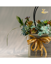 Cachet-Nàng Rực_Giỏ Hoa Sen Đá Làm Quà Tặng_Vsenda - belovedbeyond.com