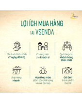 Empire_Giỏ Hoa Sen Đá Làm Quà Tặng_Vsenda - belovedbeyond.com