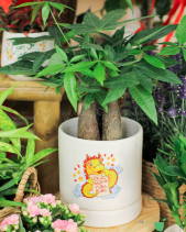 Quà Tặng Tết 2024 - Set 002 - belovedbeyond.com