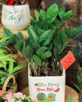 Quà Tặng Tết 2024 - Set 003 - belovedbeyond.com