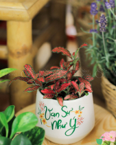 Quà Tặng Tết 2024 - Set 007 - belovedbeyond.com