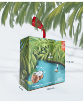 Kẹo Dừa Bến Tre - belovedbeyond.com