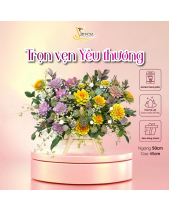 My Sunshine_Lẵng Hoa Sen Đá Làm Quà Tặng_Vsenda - belovedbeyond.com
