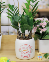[2024] Quà Mừng Quốc Tế Phụ Nữ 8/3 - Set 005 - belovedbeyond.com