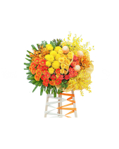 Vững Bước - belovedbeyond.com