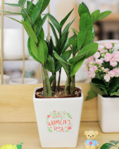 [2024] Quà Mừng Quốc Tế Phụ Nữ 8/3 - Set 010 - belovedbeyond.com