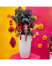 Tươi Mới - belovedbeyond.com