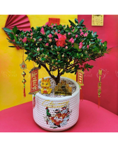 Vui Vẻ - belovedbeyond.com