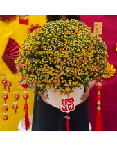 Sung Túc - belovedbeyond.com