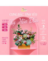 Nụ Hôn Đầu - belovedbeyond.com