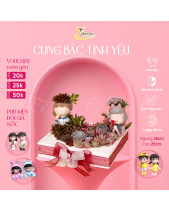 Thổn Thức - belovedbeyond.com