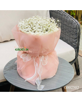 G002502 - belovedbeyond.com