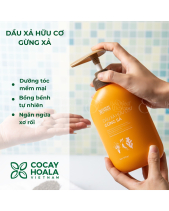 Tóc Mây Bồng Bềnh- Cỏ Cây Hoa Lá - belovedbeyond.com