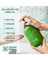 Tóc Mây Bồng Bềnh- Cỏ Cây Hoa Lá - belovedbeyond.com