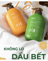 Tóc Mây Bồng Bềnh- Cỏ Cây Hoa Lá - belovedbeyond.com