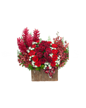 Tâm Huyết - belovedbeyond.com