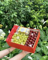 Hộp Trái Cây Nhập Khẩu, Hoa Sáp - belovedbeyond.com