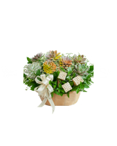 Hoa Sen Đá 27 - belovedbeyond.com