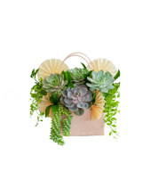 Hoa Sen Đá 25 - belovedbeyond.com