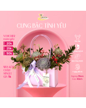 Cachet-Nàng Rực_Giỏ Hoa Sen Đá Làm Quà Tặng_Vsenda - belovedbeyond.com