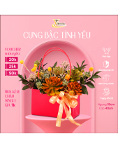 Cachet-Nàng Rực_Giỏ Hoa Sen Đá Làm Quà Tặng_Vsenda - belovedbeyond.com