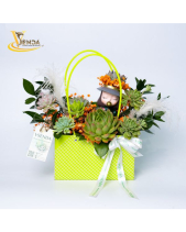 Cachet-Nàng Rực_Giỏ Hoa Sen Đá Làm Quà Tặng_Vsenda - belovedbeyond.com