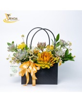 Cachet-Nàng Rực_Giỏ Hoa Sen Đá Làm Quà Tặng_Vsenda - belovedbeyond.com